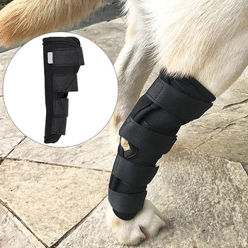 Podrška Sigurnosti Kompresije Rukava Njegu Artritis Prednji Stražnji Zaštitnik Pas Deformacija Reflektirajućim Istezanje Dog Obujmica Za Noge