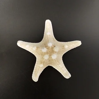 3-10 cm Morska zvijezda Ocean Beach Morska zvijezda za Vjenčanje Dekor Plaža tema party, Ukrasa za dom,Obrta, morska zvijezda