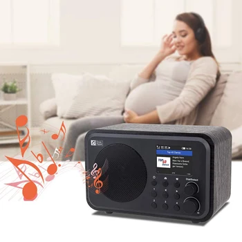 Wi-Fi Internet Radio WR-336N Prijenosni Digitalni Radio s punjiva Baterija, Bluetooth prijemnik Винтажное Retro Radio